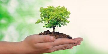 Se realizará una Jornada de Ambiente en Comodoro