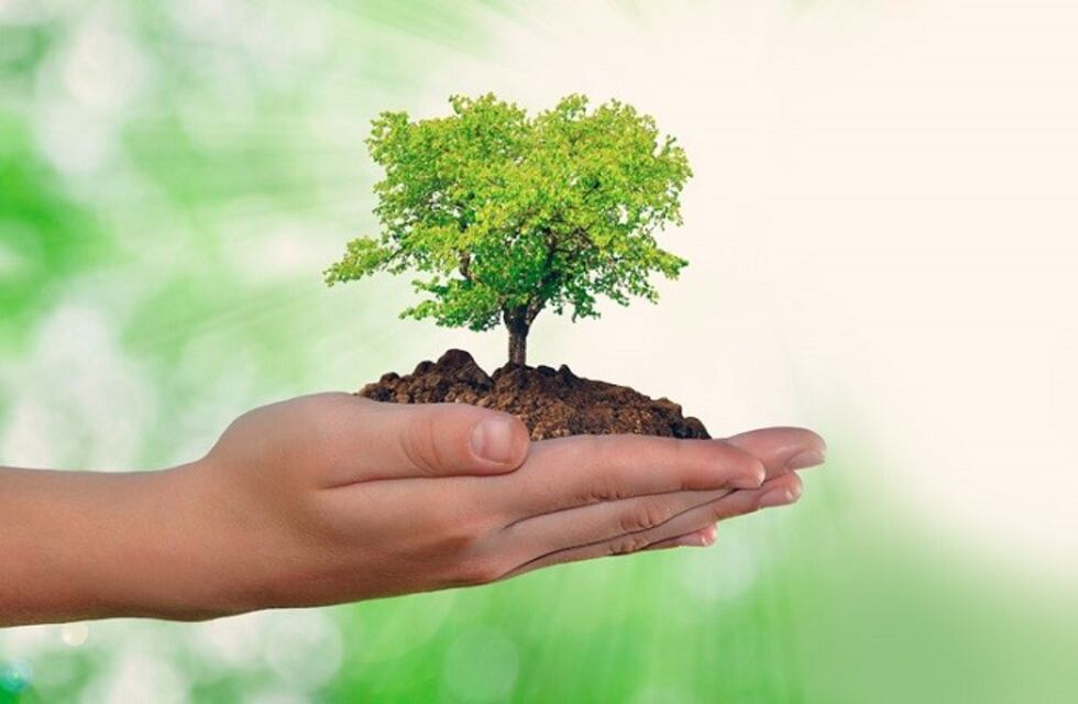 Despeñaderos celebrará el Día Internacional del Medio Ambiente