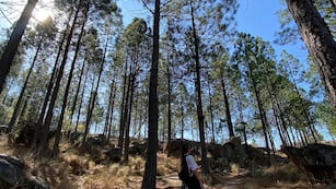 Desde Mula Muerta hasta Los Cometierra, las 8 localidades de Córdoba con nombres más insólitos.