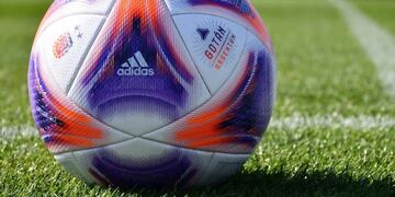 La Liga Profesional va dejando todo listo para su comienzo (AFA)