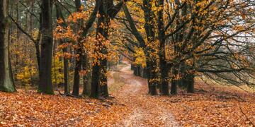 Equinoccio de otoño
