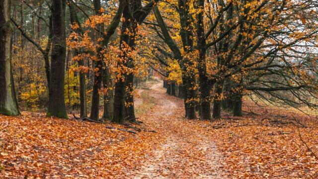 Equinoccio de otoño