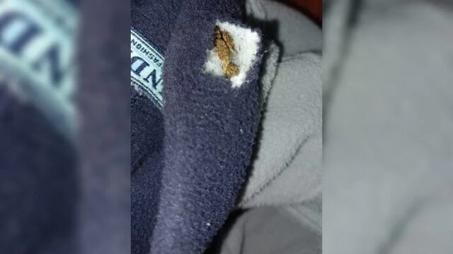 Intentó ingresar marihuana oculta dentro de una campera a una comisaría de Posadas.