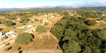 Una arboleda nativa ha sido preservada y da particular contexto natural al proyecto situado en El Ceibal.