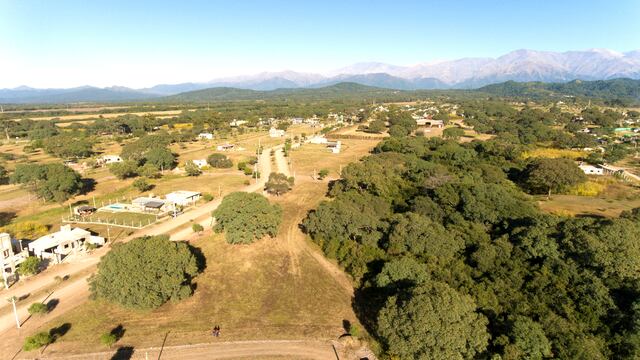 Una arboleda nativa ha sido preservada y da particular contexto natural al proyecto situado en El Ceibal.
