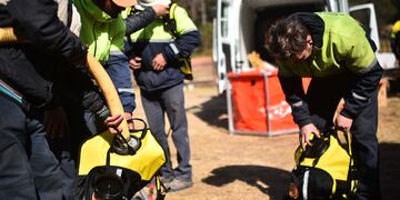 Los bomberos y demás brigadistas dieron una dura batalla al fuego en Potrero de Garay (Pedro Castillo/La Voz)