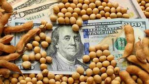 El Gobierno negó la llegada de un nuevo "dólar soja".