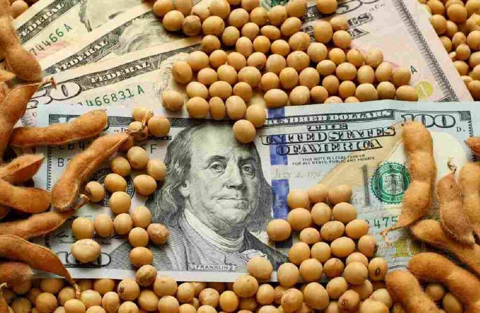 El Gobierno desmintió un nuevo “dólar soja” y crece la incertidumbre en el mercado sobre el tipo de cambio