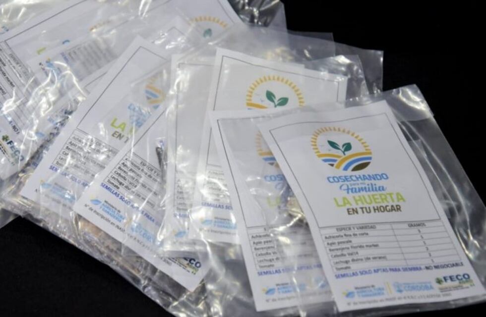 El programa Huerta para mi Hogar llego a Arroyito y la zona