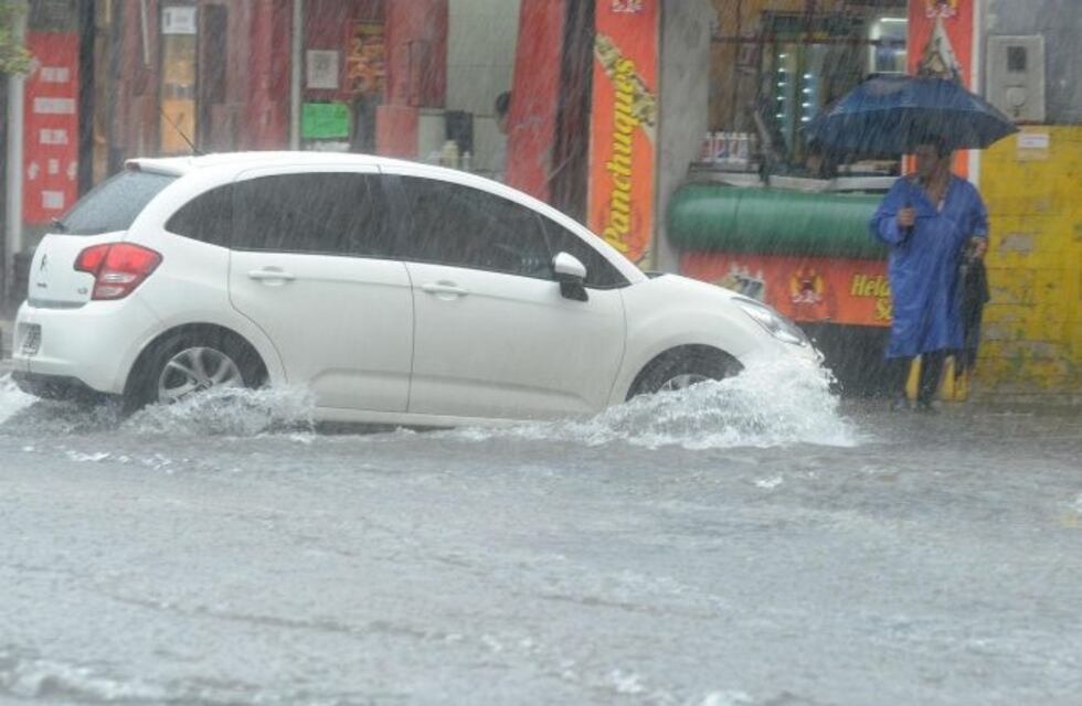 Agrotécnica Fueguina devuelve patentes extraviadas en las tormentas