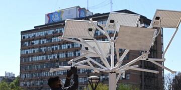 Arbol solar en la ciudad de Córdoba