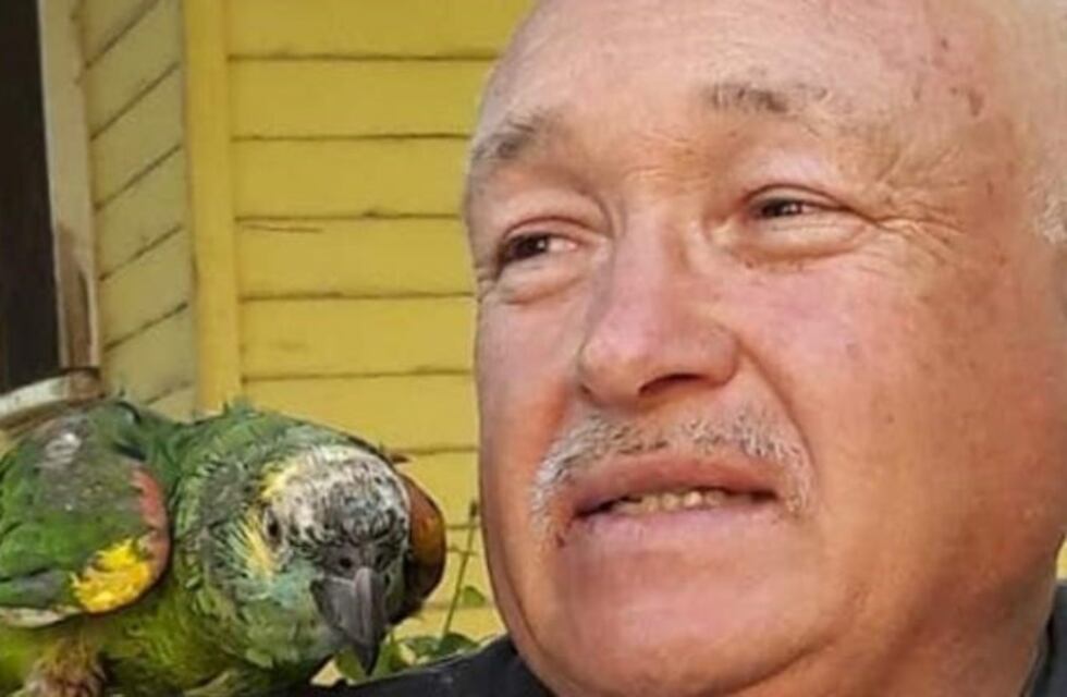 Le robaron su mejor amigo a un jornalero: un loro que tiene hace 40 años