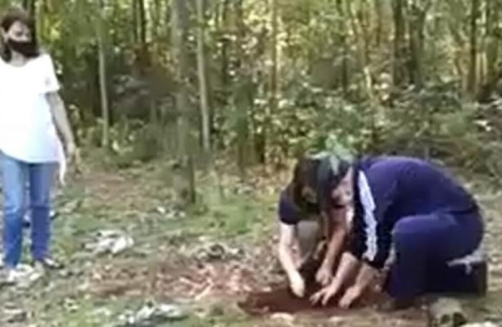 Día del Árbol: plantaron especies nativas en el Lago Ziegler