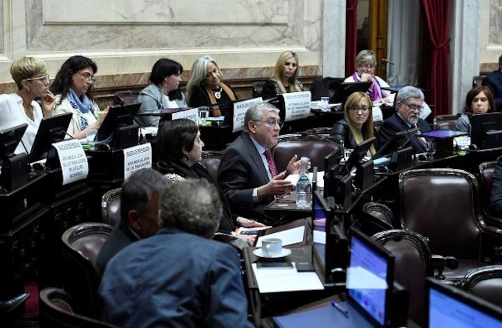 El senador MarioPais fundamentó las limitaciones para allanamientos a Cristina