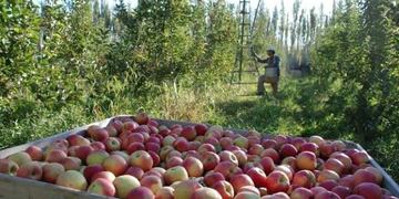 Exportacion de frutas a Brasil\u002E