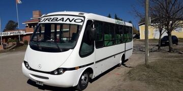 Colectivo Urbano Municipal\u002E (Foto: web)\u002E