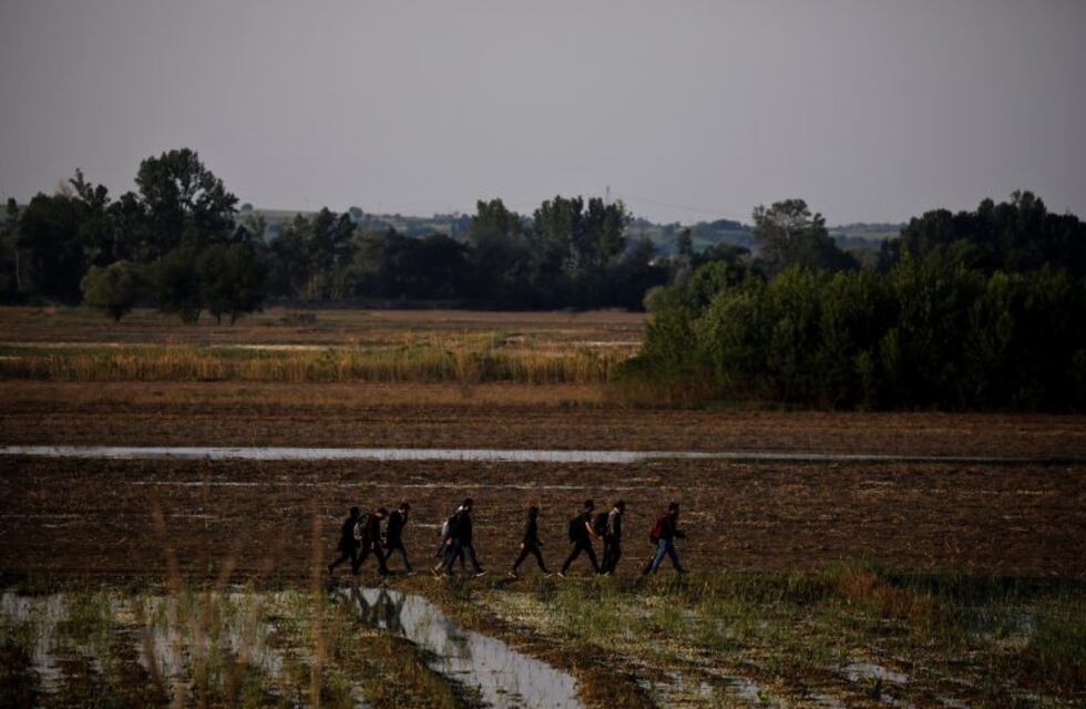 Detectaron la presencia del alga denominada "Moco de roca"