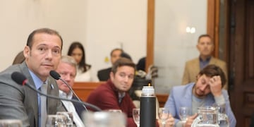 Gutiérrez solicitó una reunión al Consejo Federal de Energía Eléctrica por los cortes masivos
