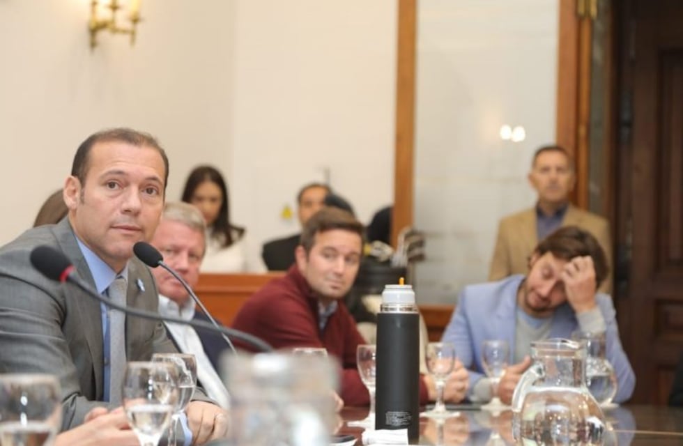 Gutiérrez solicitó una reunión al Consejo Federal de Energía Eléctrica por los cortes masivos