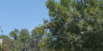 Servicio de Transporte Urbano en Villa Carlos Paz\u002E