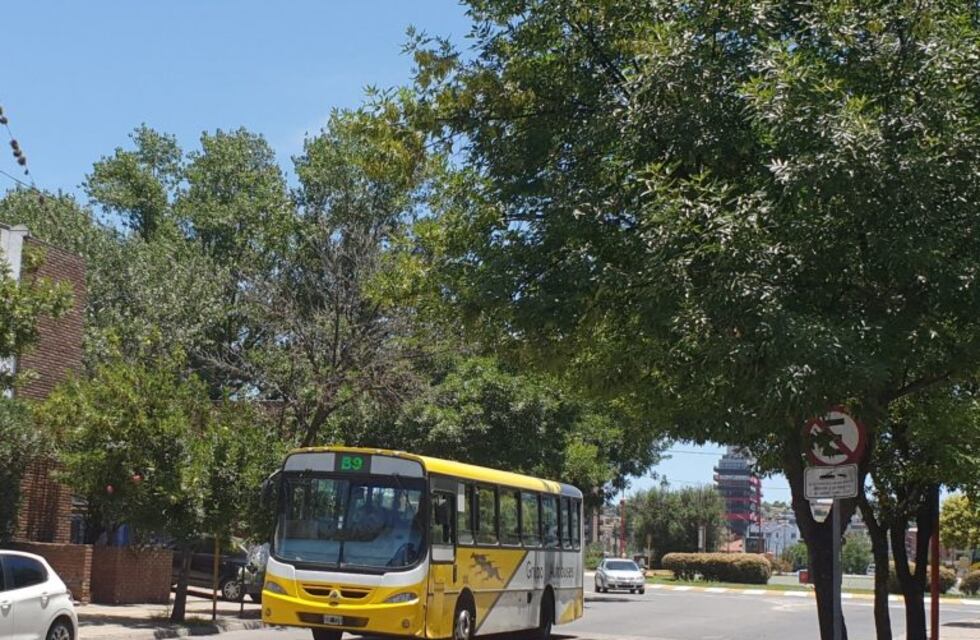 Carlos Paz sin colectivos: paro y reclamo de trabajadores