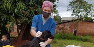 El Centro de Veterinaria y Zoonosis de Eldorado, dio a conocer su cronograma semanal