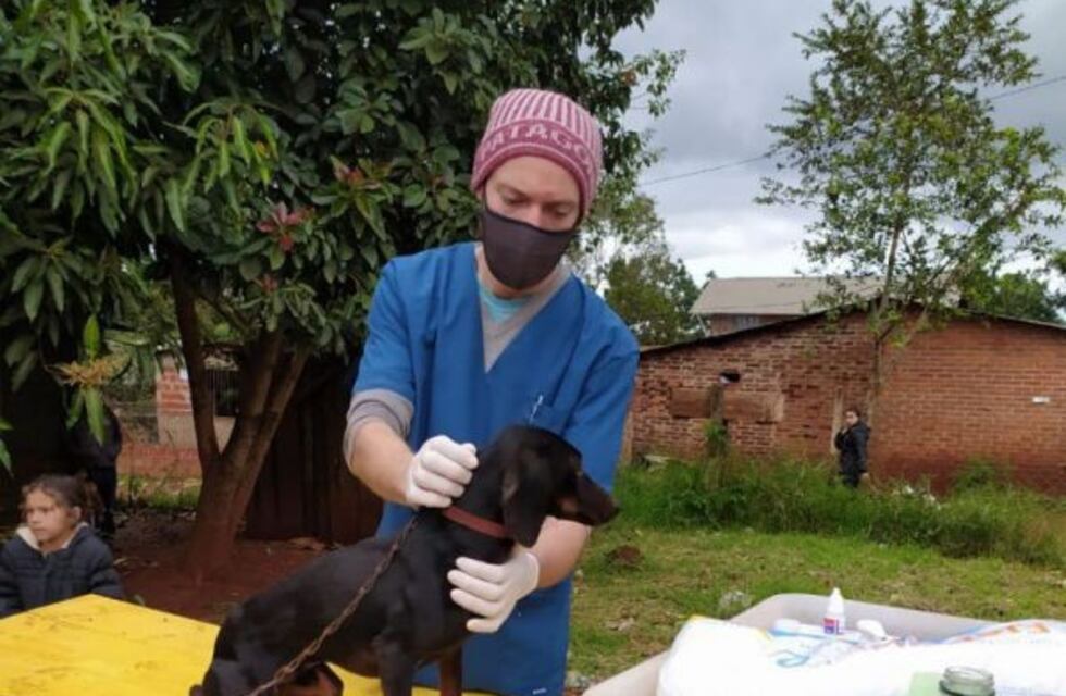 Cronograma semanal del Centro de Veterinaria y Zoonosis