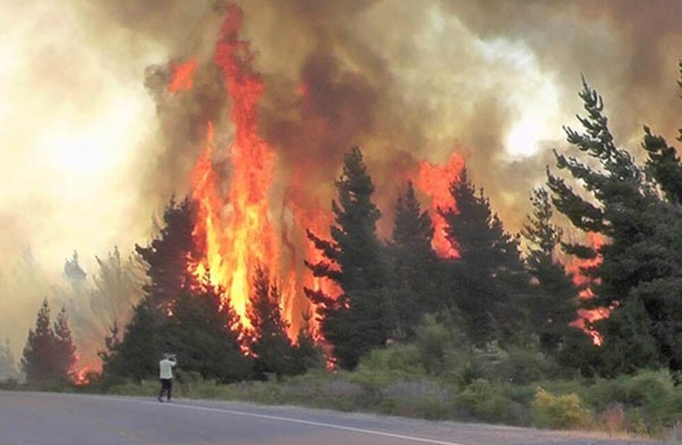 El fuego sigue avanzado en Lago Puelo y se suman refuerzos