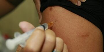 No hay intención de incrementar los centros de vacunación contra la fiebre amarilla en Santa Fe\u002E (EFE)