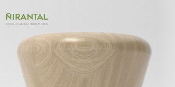 Finalizó concurso de Diseño de Muebles con madera de ñire