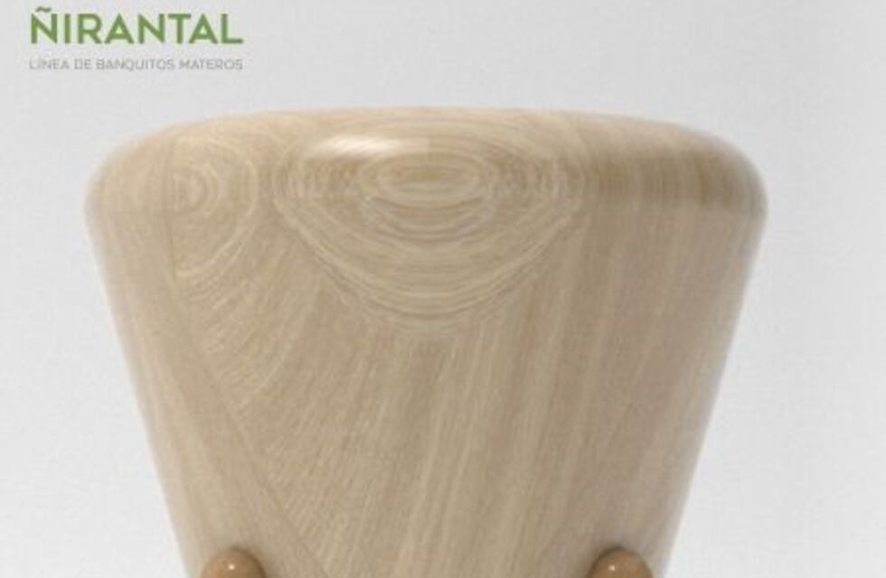 Finalizó concurso de Diseño de Muebles con madera de ñire