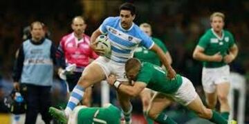 Los Pumas e Irlanda volverán a verse las caras en Dublin\u002E