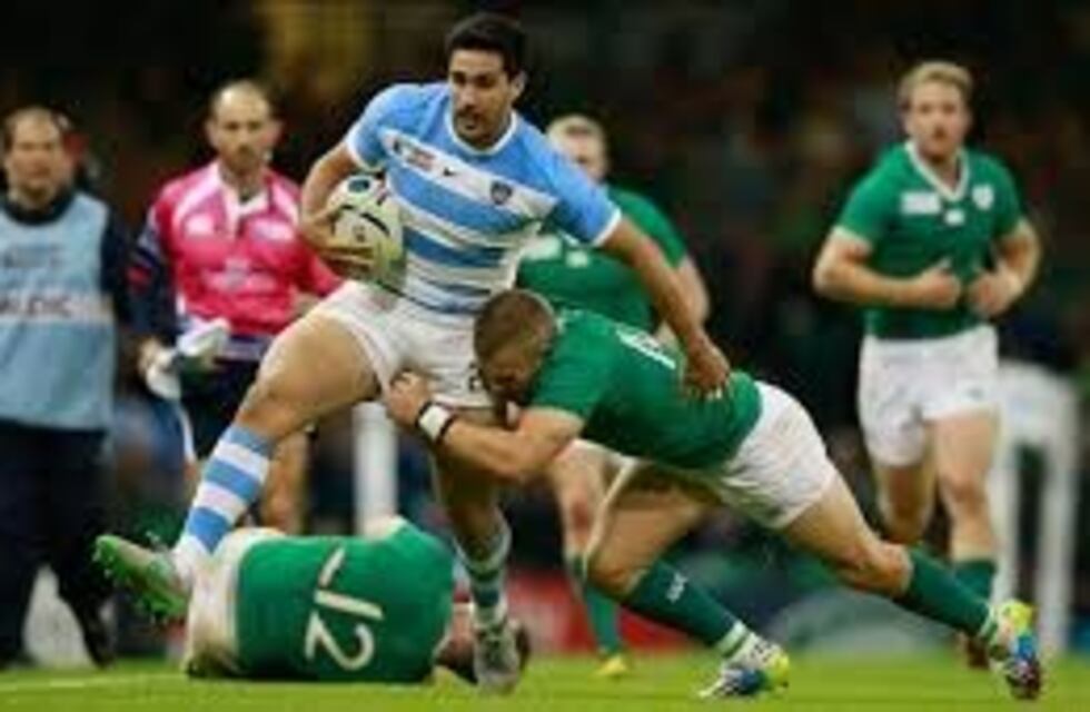Los Pumas cayeron ante Irlanda por 28-17