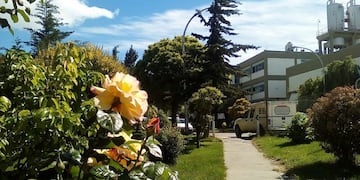 Dictarán taller sobre nutrición y el consumo de sal