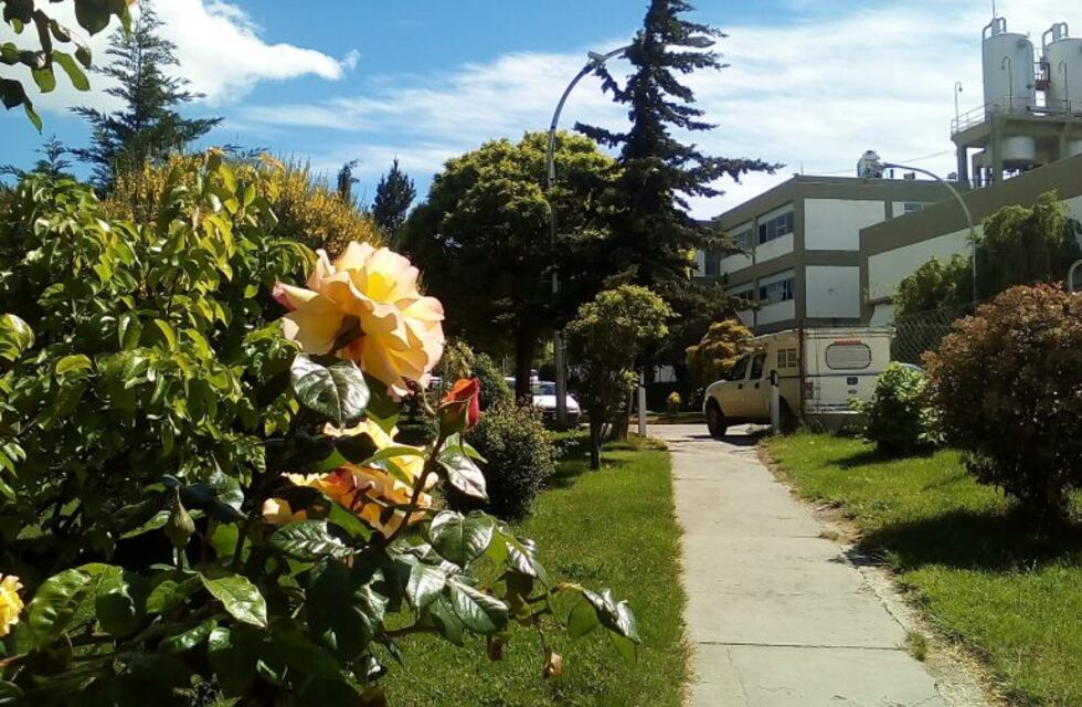 Dictarán taller sobre nutrición y el consumo de sal