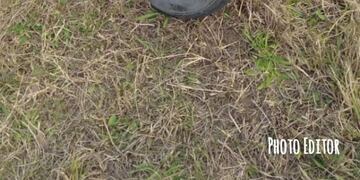 Accidente vial en la Localidad de Los Cedros