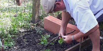 Entrega de semilla en PGB. Foto: web