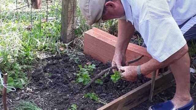 Entrega de semilla en PGB. Foto: web