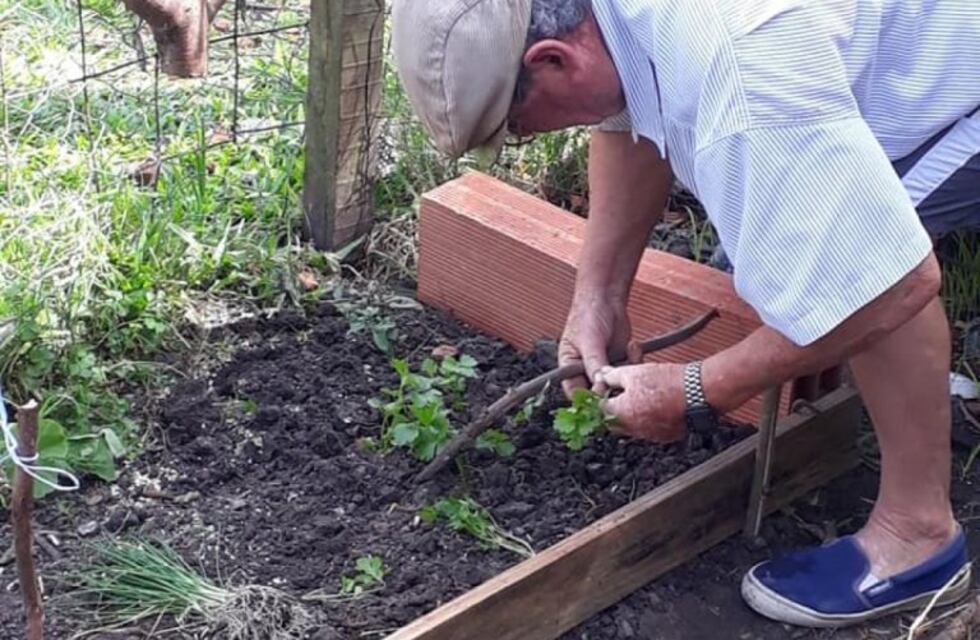 Pro Huerta: comenzó la entrega de semillas en Pueblo Belgrano