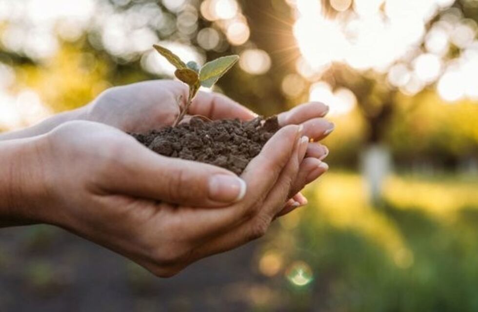 Convocatoria para el programa Iniciativas Sustentables 2020