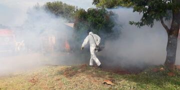 Plena fumigación para terminar con el mosquito Aedes aegypti transmisor del dengue:\u002E (Ministerio de Salud)