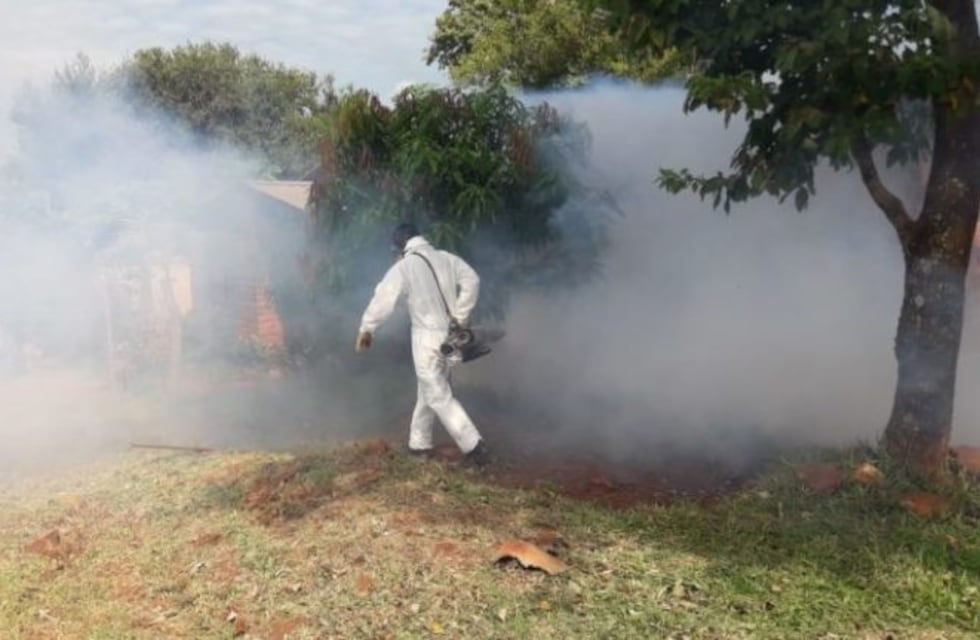 Refuerzan la lucha contra el dengue en Oberá