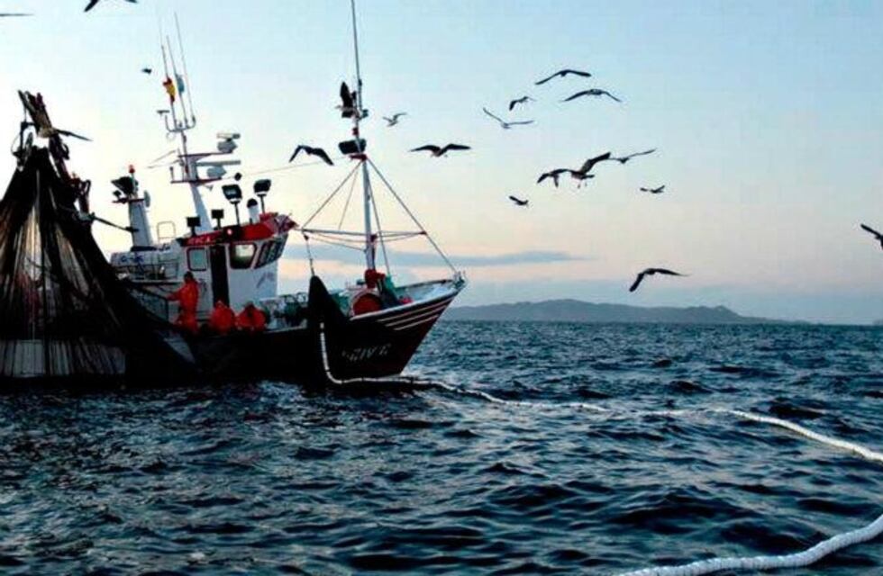 Rawson: La Secretaría de Pesca de Chubut autorizó la apertura de la zafra de langostino