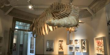 Museo Oceanográfico de Puerto Madryn