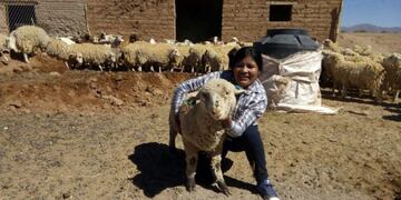 producción en la Puna jujeña