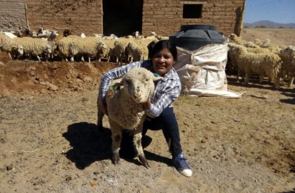 Agricultores familiares de Cochinoca incorporan innovaciones tecnológicas