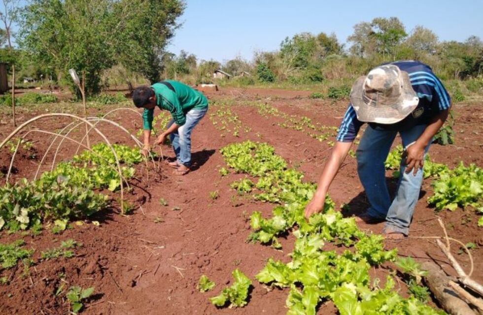 Este viernes se inaugurará el primer canal de televisión y feria de productores Mbyá