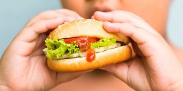 En Mendoza, además del 35% de niños con problemas de sobrepeso y obesidad hay 2% que tiene problemas de bajo peso\u002E