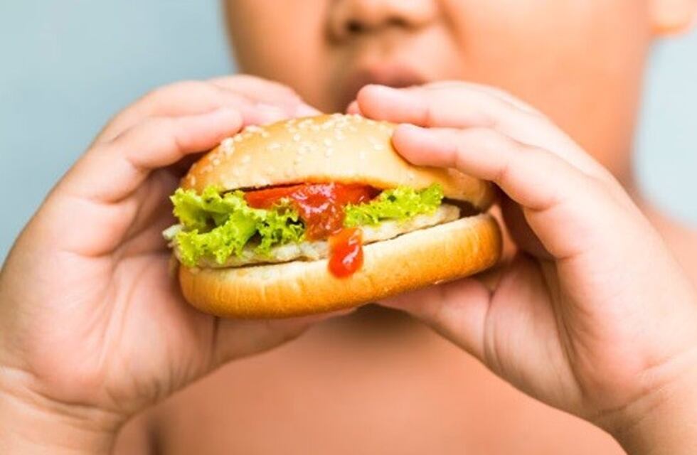 El sobrepeso y la obesidad en niños de Mendoza alcanzan al 35%