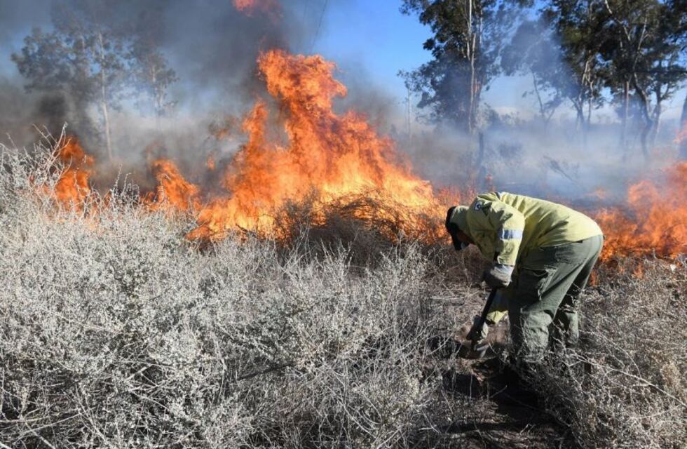 Calor extremo en Mendoza y alerta de máxima peligrosidad por incendios: qué hacer ante un siniestro forestal
